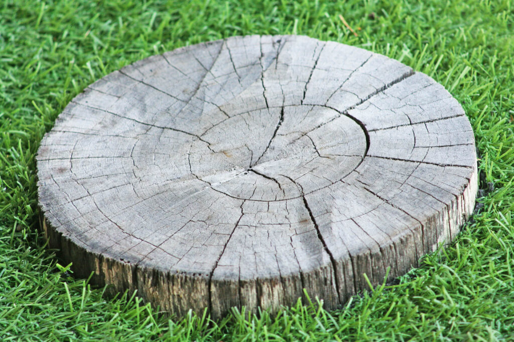 Tree Stump Grinding FAQs: Heartland Stump Removal